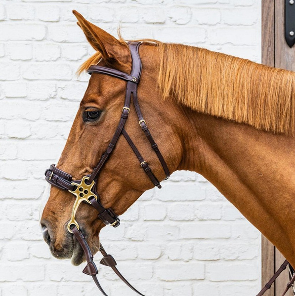 Hackamore Dy'on D Collection - brązowe