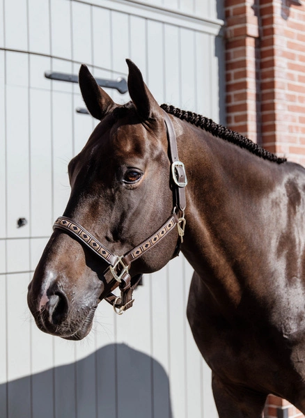 Kentucky kantar Pearls - złoty