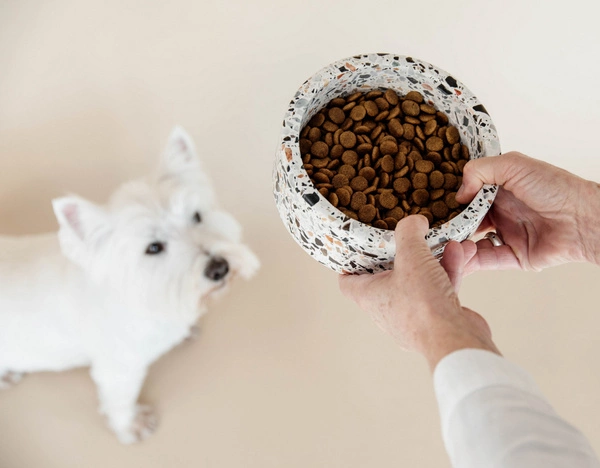 Miska Terrazzo Stone Kentucky - biała