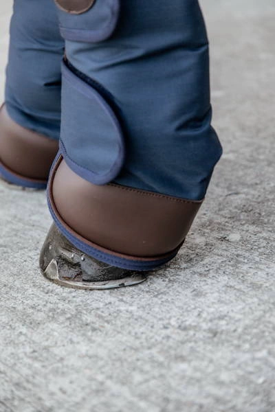 Ochraniacze transportowe Kentucky