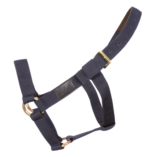 Kentucky kantar Heavy Duty - granatowy