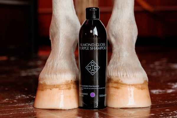 Szampon Almond Gloss Purple Shampoo 500 ml - Kentucky Grooming Deluxe