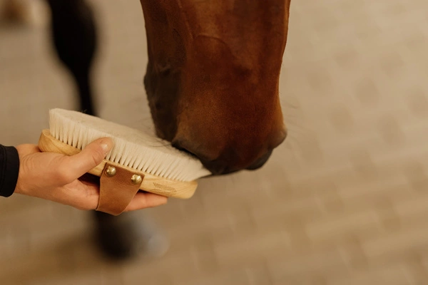 Mała miękka szczotka do sierści - Kentucky Grooming Deluxe