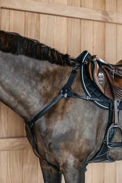 5-punktowy skórzany napierśnik Dy'on D Collection - czarny