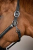   Dy'on kantar  Head Collar Fancy - czarny