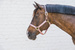 Kentucky kantar Nylon Halter Breakaway - różowy