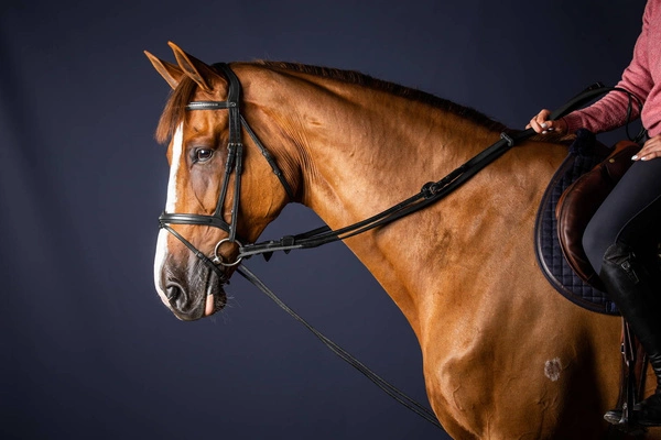 Dy'on wodza pomocnicza New English 5/8 - czarna