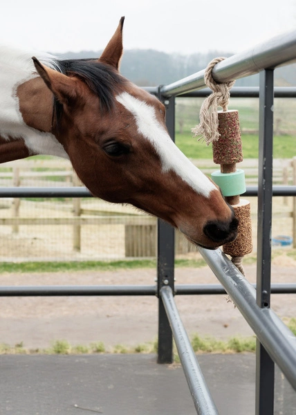 Kentucky gryzak z solą dla koni Relax Horse Toy - airways