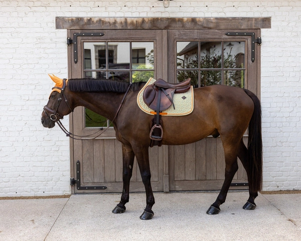 Kentucky czaprak Velvet Printing - multikolor