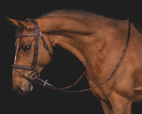 Ogłowie Equiline z przeszyciami BJ301 - brązowe