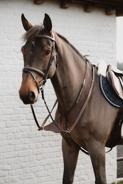 Miękki wytok Soft leather BIB Martingale Dy'on D Collection - brązowy