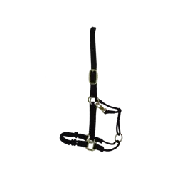 Kentucky kantar spacerowy Control - czarny