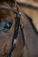 Dy'on Blinkers Fancy - brązowe