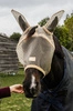  Kentucky Fly Mask Heart - maska na owady - beżowa
