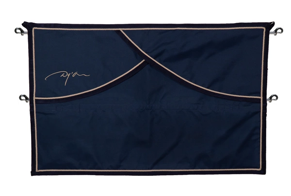 Dy'on bramka na boks