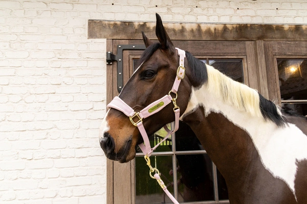 Kentucky kantar anatomiczny Velvet - jasny róż