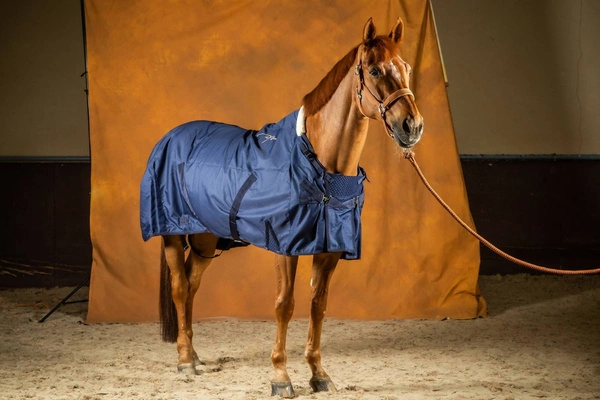 Dy'on kantar Nubuck - jasnobrązowy