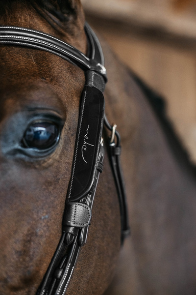 Dy'on Blinkers Fancy