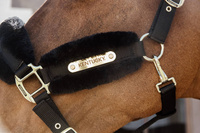 Kentucky kantar podszyty futrem Soft - czarny