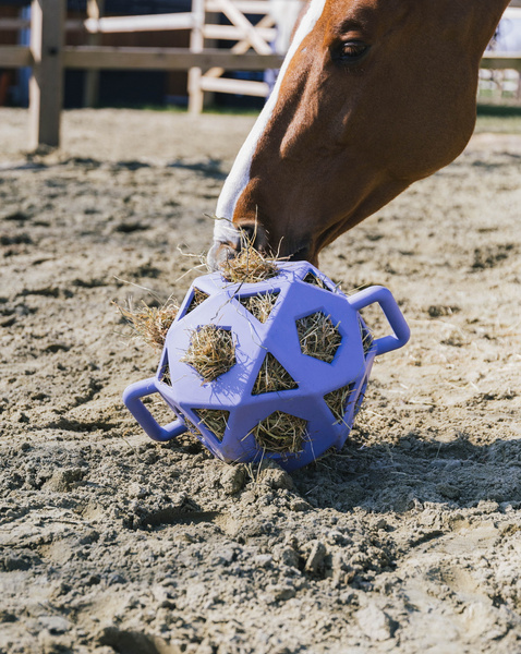 Kentucky elastyczna piłka na siano Relax Horse Play & Hay Ball - fioletowa