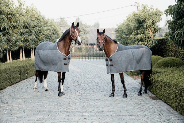 Kentucky derka polarowa Heavy - szara