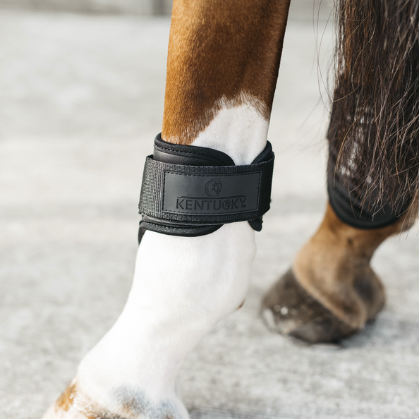 Kentucky ochraniacze Young Horse Fetlock na zadnie nogi - czarne