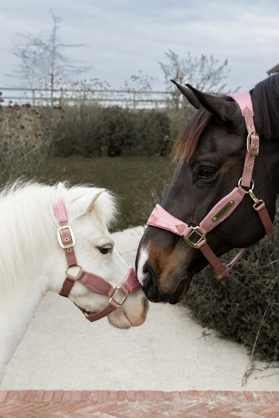 Kentucky kantar anatomiczny Velvet Unicorn Glitter - pudrowy róż