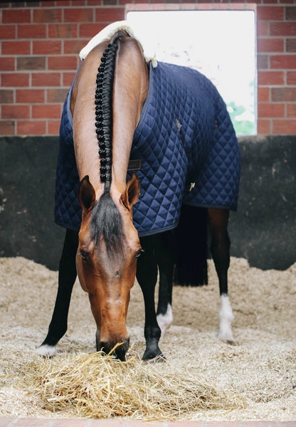 Kentucky derka stajenna 400 g - granatowa