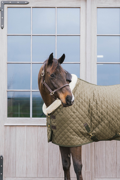Kentucky derka stajenna 160g - khaki
