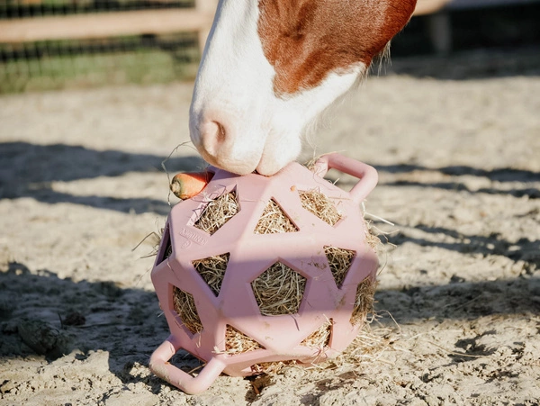 Kentucky elastyczna piłka na siano Relax Horse Play & Hay Ball - pudroworóżowa