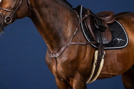 Anatomiczny skórzany napierśnik Dy'on US Jumping - czarny