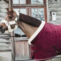 Kentucky derka stajenna Velvet 160g - bordowa