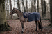 Kentucky półderka do jazdy Quater Rug Heavy Fleece - szara