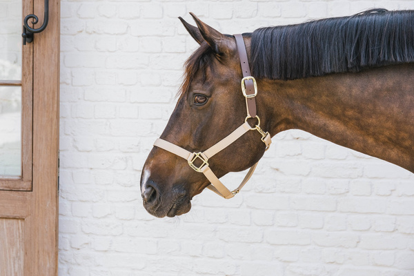 Kentucky kantar Nylon Halter Breakaway - beżowy