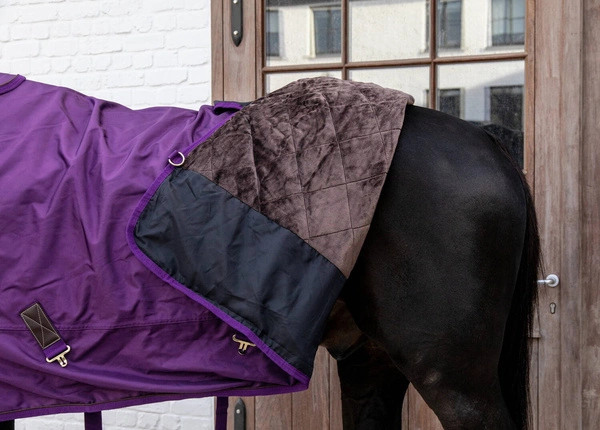 Kentucky derka padokowa All Weather Waterproof Pro 160g - fioletowa