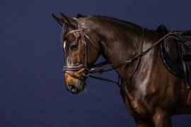 Dy'on Howlett Training System - czarny