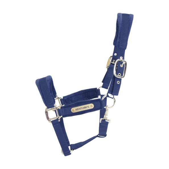 Kentucky kantar anatomiczny Velvet - granatowy