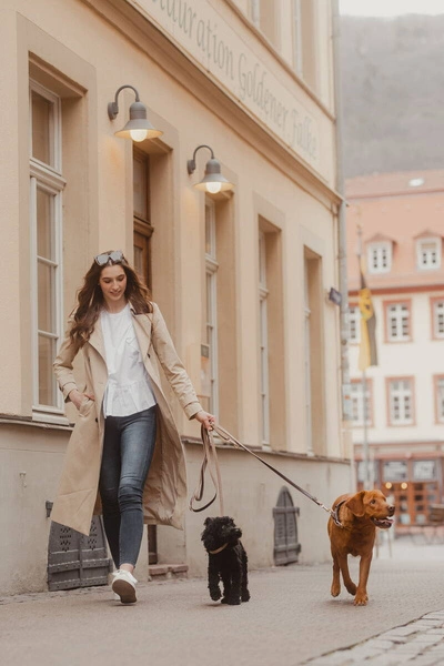 Pleciona smycz Kentucky Nylon 2m - beżowa