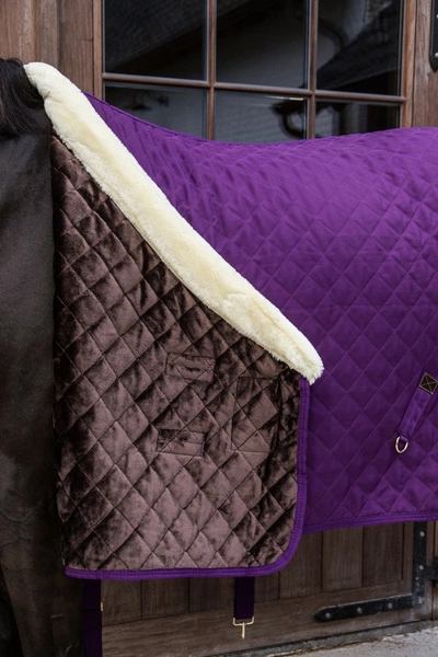 Kentucky derka stajenna Show 160 g - fioletowa