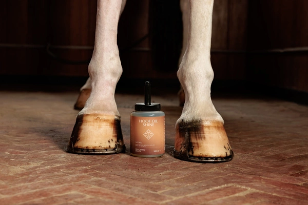 GD Hoof Oil Shine 500ml bezbarwny - Kentucky Grooming Deluxe