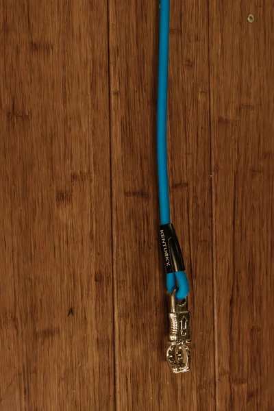 Kentucky Horse Box Lead & Cross Ties Silicone - niebieski