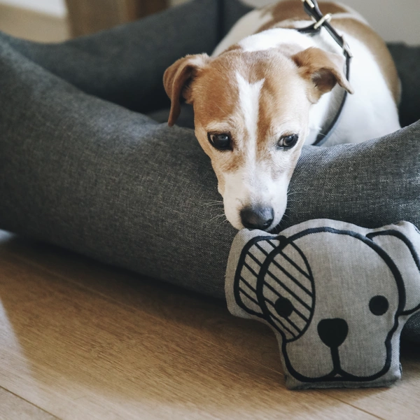 Piszcząca zabawka dla psa Kentucky - głowa