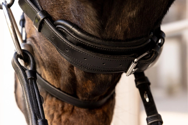 Ogłowie rurkowe Dy'on ComfoHead Working