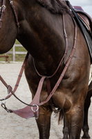 Miękki wytok Soft leather BIB Martingale Dy'on New English