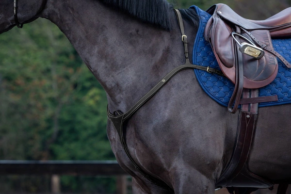 Skórzany napierśnik Dy'on Long Bridge Breastplate D Collection