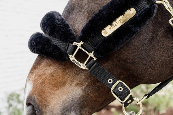 Kentucky kantar podszyty futrem Soft - czarny