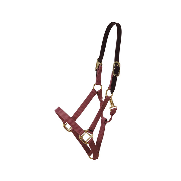 Kentucky kantar Nylon Halter Breakaway - bordowy