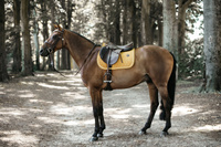 Kentucky czaprak Velvet - musztardowy
