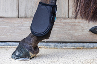 Kentucky ochraniacze na tył Eventing Boots 3D Air Flow Short - czarne