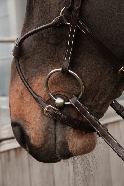 Nachrapnik Dy'on Hybrid D Collection